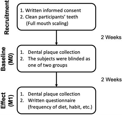 Xylitol-Containing Chewing Gum Reduces Cariogenic and Periodontopathic Bacteria in Dental Plaque—Microbiome Investigation